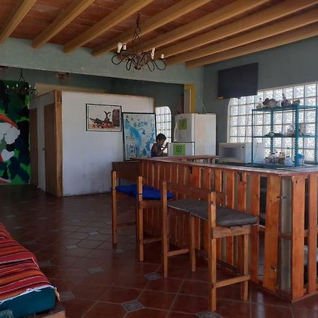 Hostal Enjoy Vallarta 19 بويرتو فالارتا المظهر الخارجي الصورة