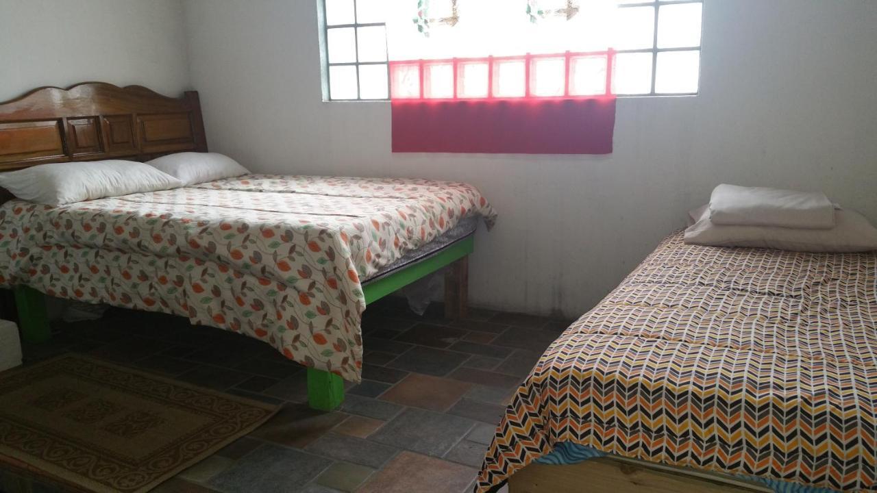 Hostal Enjoy Vallarta 19 بويرتو فالارتا المظهر الخارجي الصورة