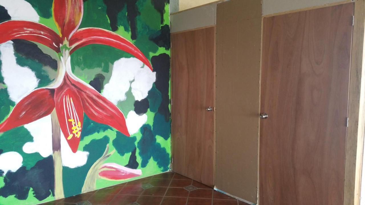 Hostal Enjoy Vallarta 19 بويرتو فالارتا المظهر الخارجي الصورة