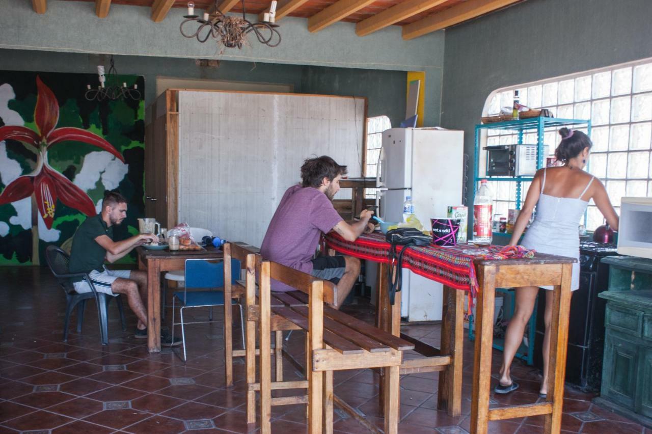Hostal Enjoy Vallarta 19 بويرتو فالارتا المظهر الخارجي الصورة