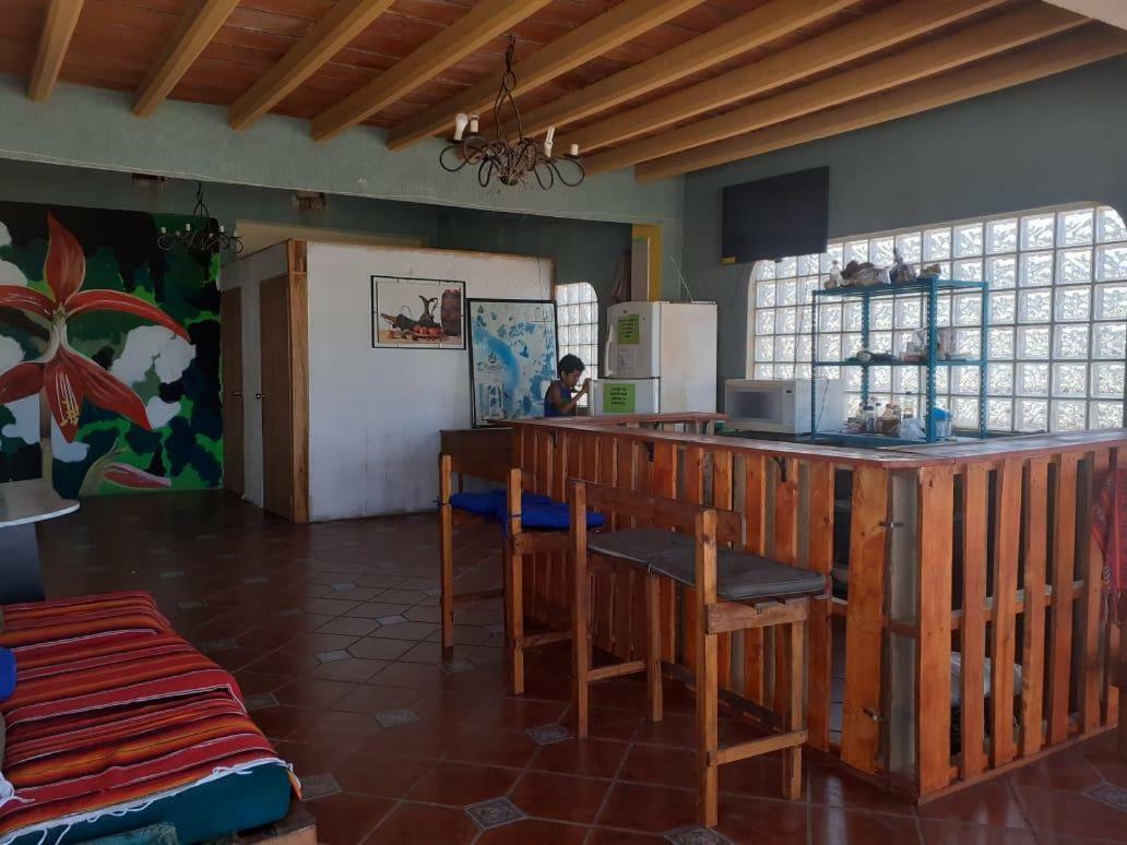 Hostal Enjoy Vallarta 19 بويرتو فالارتا المظهر الخارجي الصورة